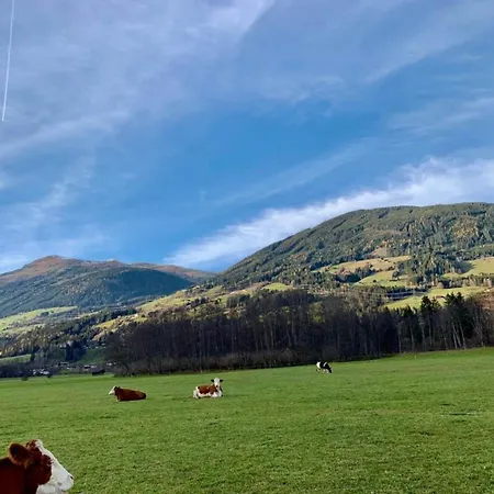 公寓 In Sulzau Near Wildkogel Arena, Cleaning Included *